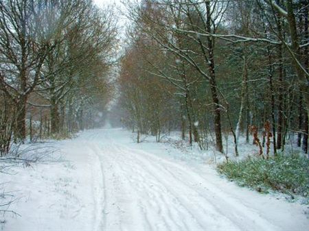 Wat sneeuw kan doen - Neerpelt