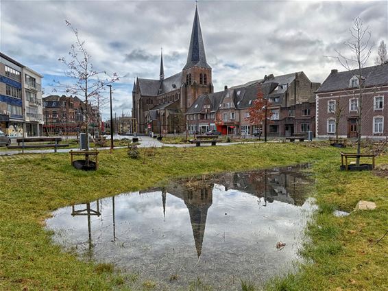 Water in de wadi, februari toch 'normaal nat' - Pelt