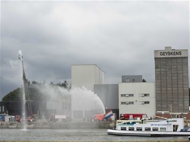 Waterballet - Beringen