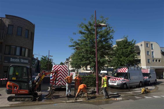 Waterlek in Beringen centrum - Beringen