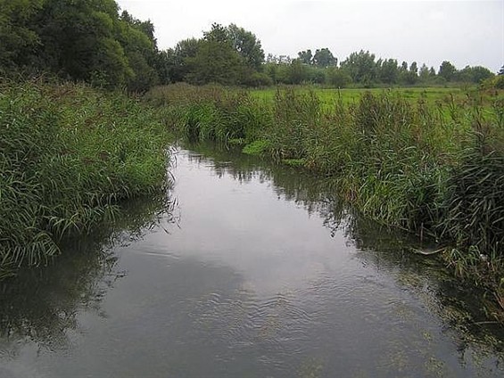 Waterlopen worden geruimd - Neerpelt