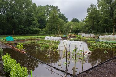 Wateroverlast aan de Motten - Beringen