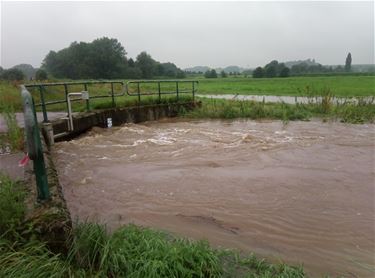 Wateroverlast in Diest, Halen en Lummen - Beringen