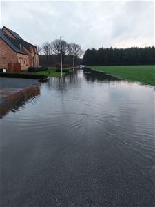 Wateroverlast Winnerstraat en Begijnenvijvers - Hechtel-Eksel