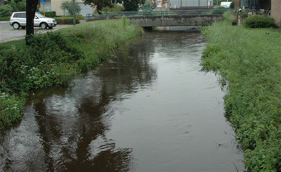 Wateroverlast: 'Situatie onder controle' - Neerpelt