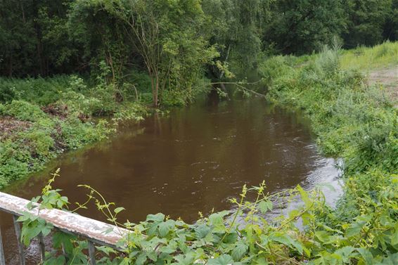 Waterpeil beken en rivieren zakt langzaam - Beringen