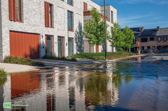Waterpret in de Brouwersstraat? - Pelt