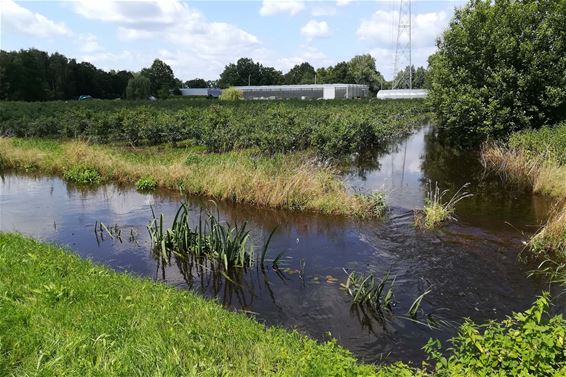 Waterstanden normaliseren - Beringen