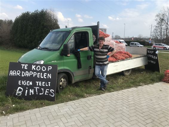 'We stikken in de aardappelen' - Beringen