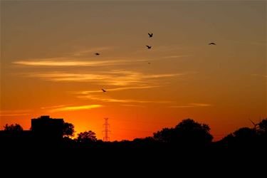 Weer die mooie zonsondergang - Beringen