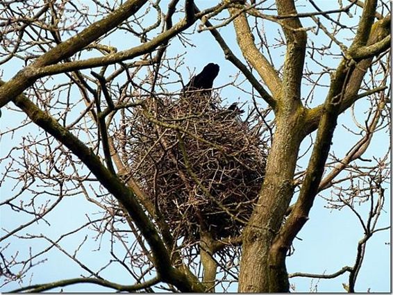 Weer een schouw gespaard - Peer