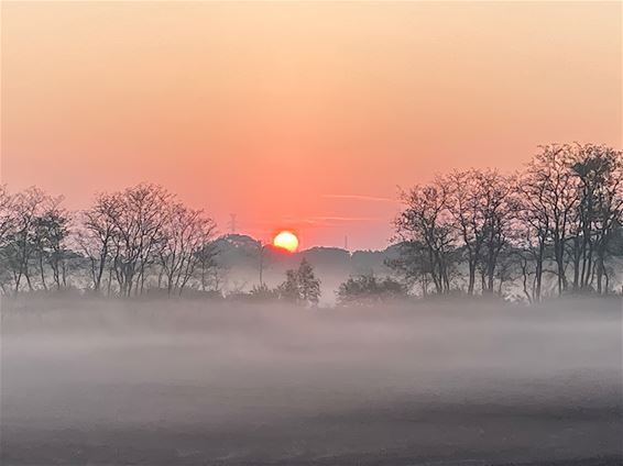 Weer heel wat natuurschoon - Lommel