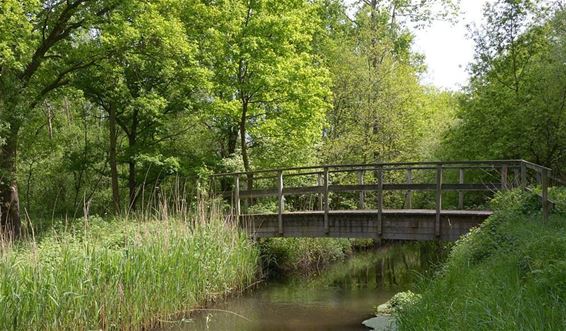 Weer meanders in de Warmbeek - Hamont-Achel