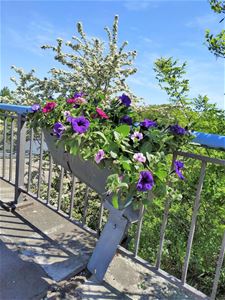 Weer vandalisme op de brug - Pelt