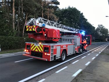 Weer veel bomen gesneuveld - Beringen