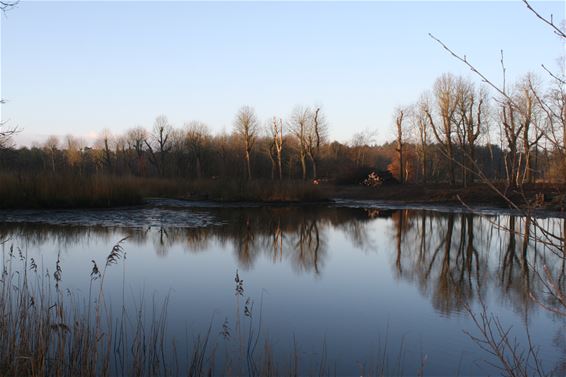 Weer wandelen bij De Bever - Hamont-Achel