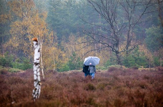 Weer wat mooie beelden - Lommel