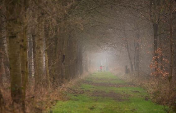 Weer wat natuur bij elkaar... - Lommel