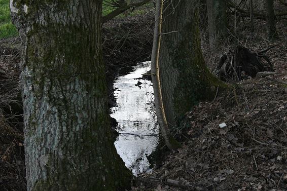 Weer water in de Prinsenloop - Pelt