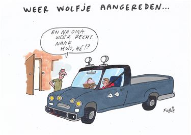 Weer wolvenwelp doodgereden