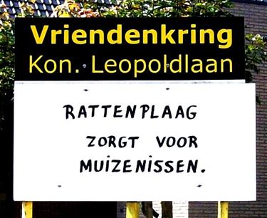 Weeral ratten? - Lommel