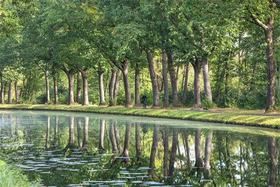 Weerspiegelende natuur - Lommel