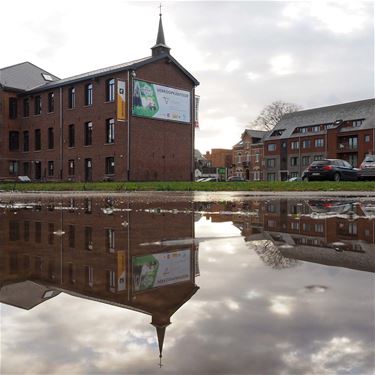 Weerspiegeling - Beringen