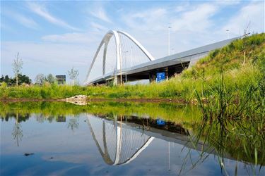 Weerspiegeling - Beringen