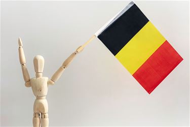 Bree - Weetjes over het Te Deum