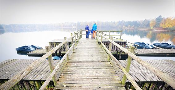 Wegmijmeren bij de natuurpracht - Lommel