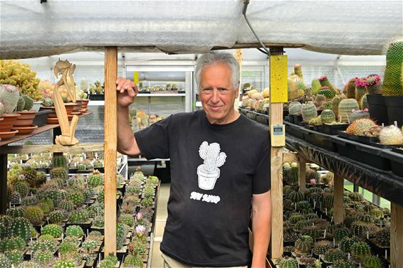 Welkom in de boeiende wereld van cactussen - Beringen & Leopoldsburg