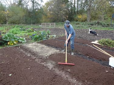 Welkom in de tuin van Jos - Beringen