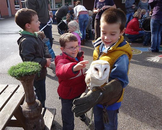 Werelddierendag bij Helibel Lille - Neerpelt