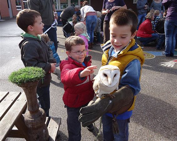 Werelddierendag bij Helibel Lille - Neerpelt