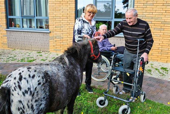 Werelddierendag in Corsala - Beringen