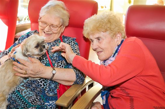 Werelddierendag in woonzorgcentrum Corsala - Beringen