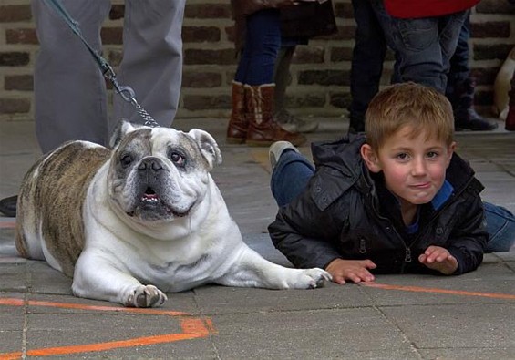 Werelddierendag, ook voor de kleuters - Neerpelt