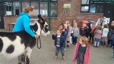 Werelddierendag in de Beerring - Beringen