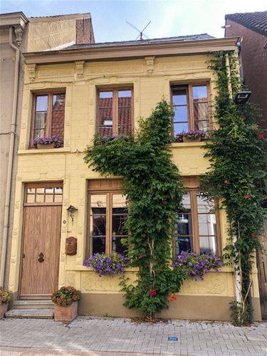 Bree - Wereldmilieudag begint gewoon in Bree
