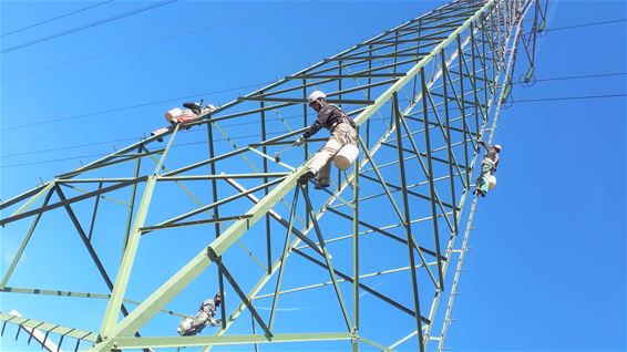 Werk op hoog niveau in Kattenbos - Lommel