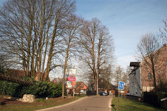 Werken aan brug Bemvoortse molen - Overpelt