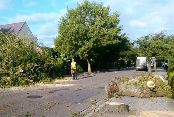 Werken aan de Parklaan begonnen - Neerpelt