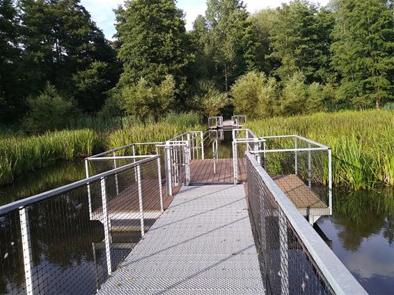 Werken aan Dommelvijver in Peer - Peer