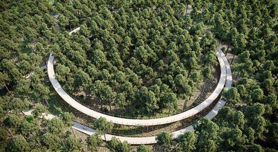 Werken aan 'Fietsen door de bomen' - Hechtel-Eksel