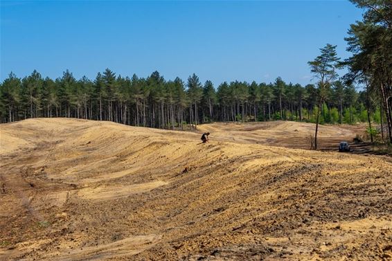 Werken aan natuurherstel - Pelt