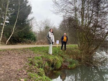 Werken aan oevers Paalse Plas - Beringen