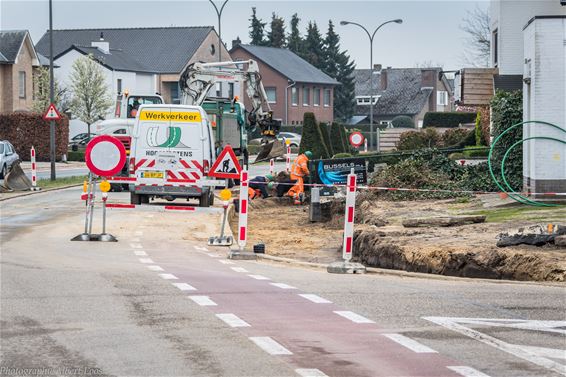 Werken op de Ringlaan - Pelt