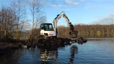 Werken aan strandzone Paalse Plas - Beringen