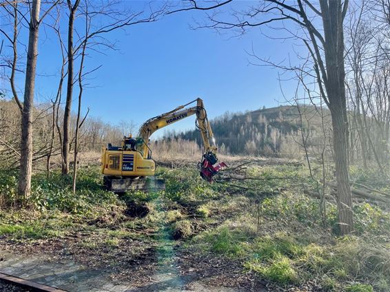 Werken fase 1 Houtpark gestart - Beringen