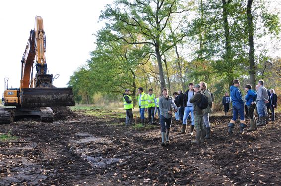 Werken gestart voor veenherstel rond Oude beek - Beringen